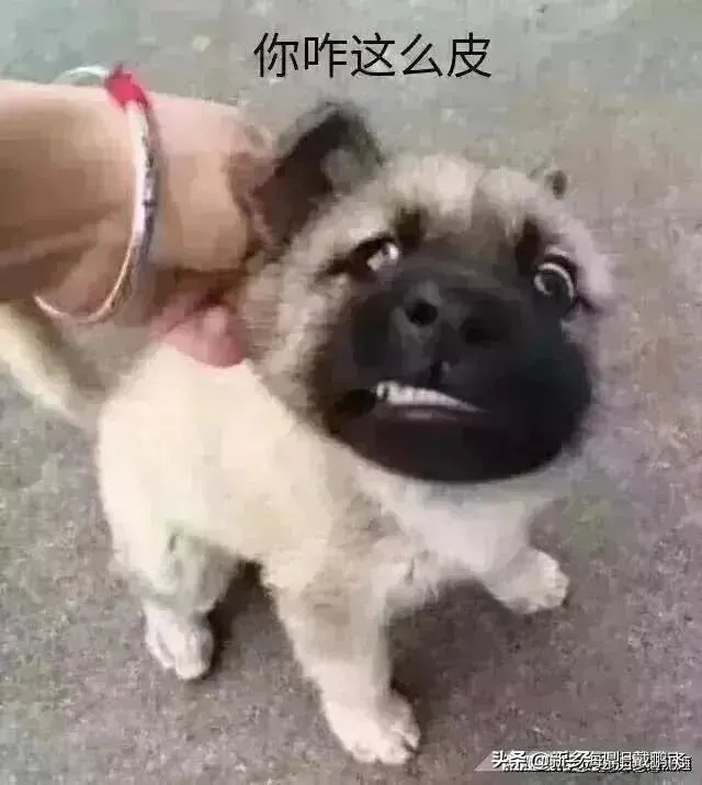 有些农民工日薪三四百,为何骑摩托车回家过年,而不坐飞机呢?