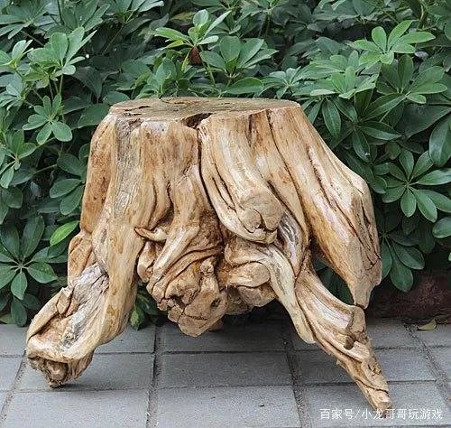 十二星座的守护花精灵