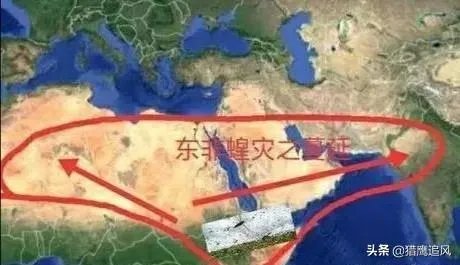 联合国官员说,正在侵袭非洲的蝗虫,会进入了印度,巴基斯坦,你怎么看这些自然现象?