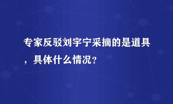 专家反驳刘宇宁采摘的是道具，具体什么情况？