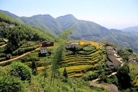 五一去崇义旅游，去玩过的驴友可以说下攻略吗？