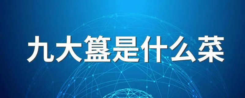 九大簋是什么菜 九大簋的解释
