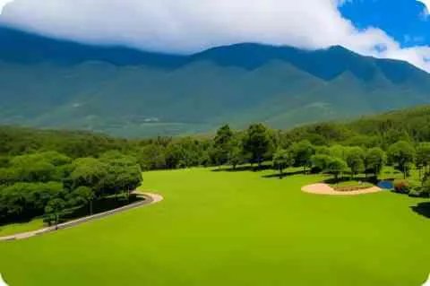 趵突泉简介及详细资料