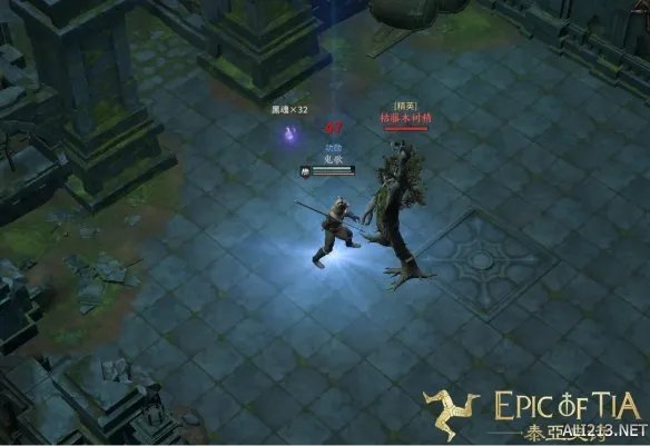 《泰亚史诗》副本塞杰斯塔遗迹攻略，远古树精的召唤