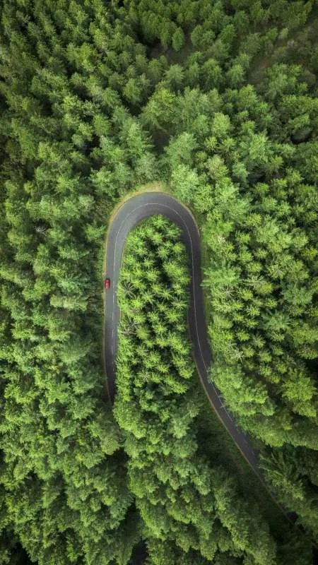 张若昀被反锁阳台一嗓子喊到前台怎么回事 ？