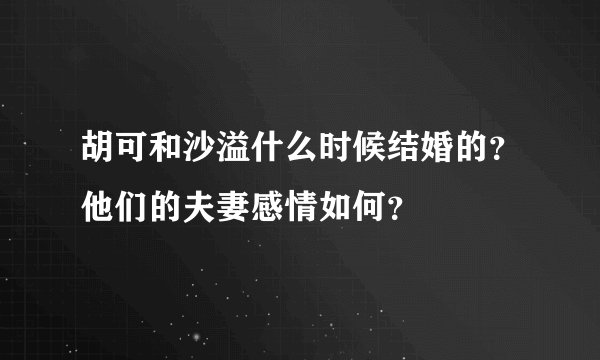 胡可和沙溢什么时候结婚的？他们的夫妻感情如何？