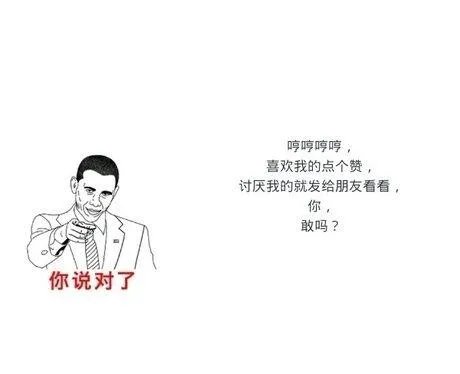 奥运会，有哪些运动项目？