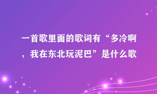 一首歌里面的歌词有“多冷啊，我在东北玩泥巴”是什么歌