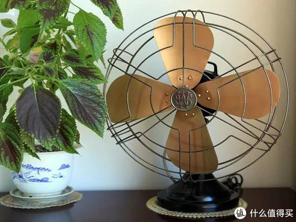 新房装修后用什么除味好？教你五种方法去除装修异味