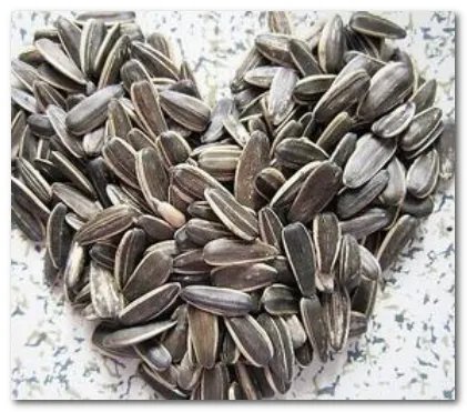 宅家嗑瓜子为啥停不下来，其中的原因是什么？