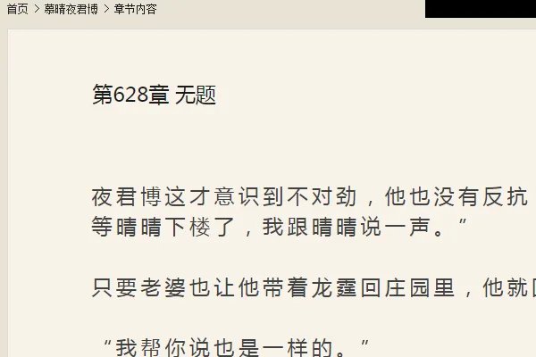 夜君博慕晴的小说