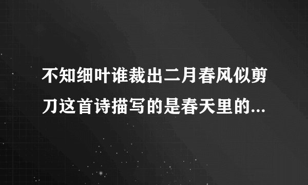 不知细叶谁裁出二月春风似剪刀这首诗描写的是春天里的什么样子用拟人的手法刻?
