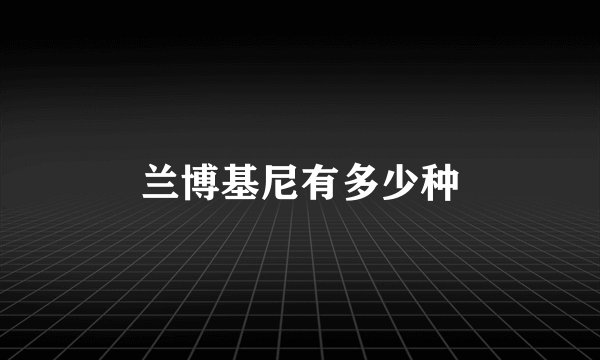 兰博基尼有多少种