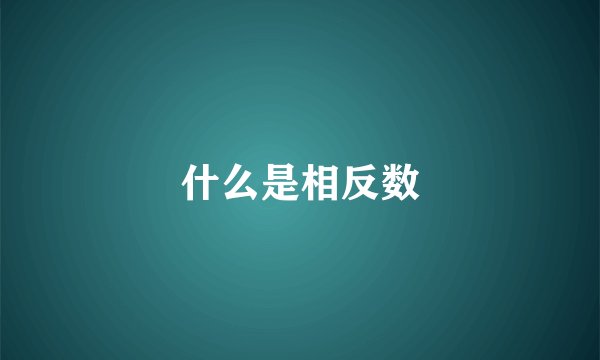 什么是相反数