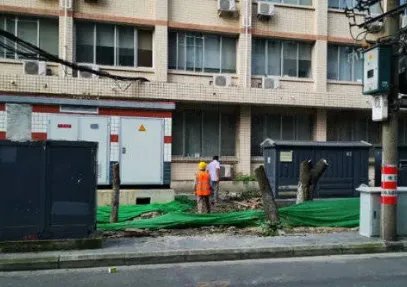 成都桂花巷桂花树被砍,处理结果公布,为何却引来嘲讽?