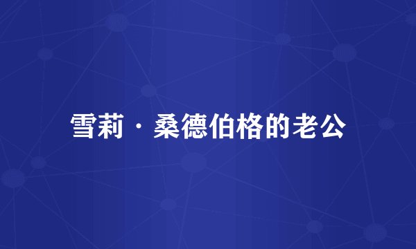 雪莉·桑德伯格的老公