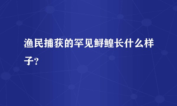 渔民捕获的罕见鲟鳇长什么样子？