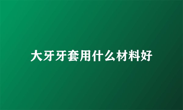 大牙牙套用什么材料好