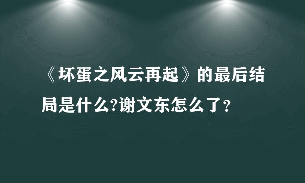 《坏蛋之风云再起》的最后结局是什么?谢文东怎么了？