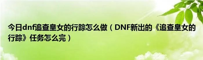 今日dnf追查皇女的行踪怎么做（DNF新出的《追查皇女的行踪》任务怎么完）