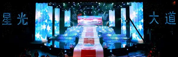 2010年星光大道总决赛冠军