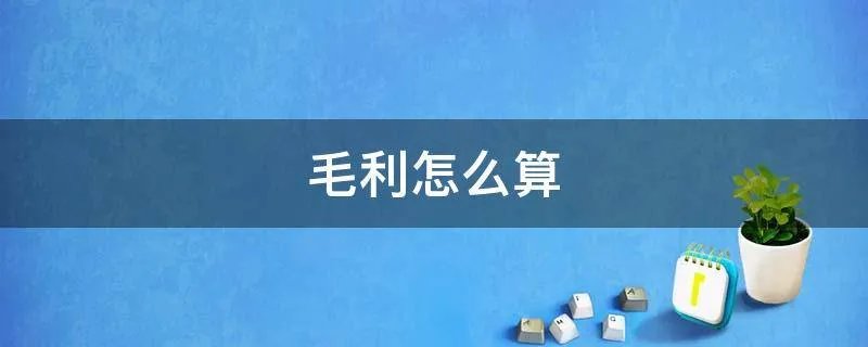 毛利怎么算
