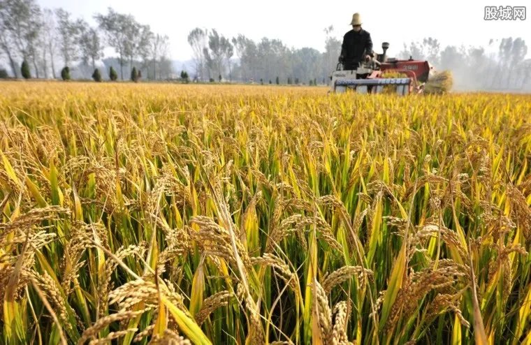 多国禁止粮食出口 对中国有没有重大影响
