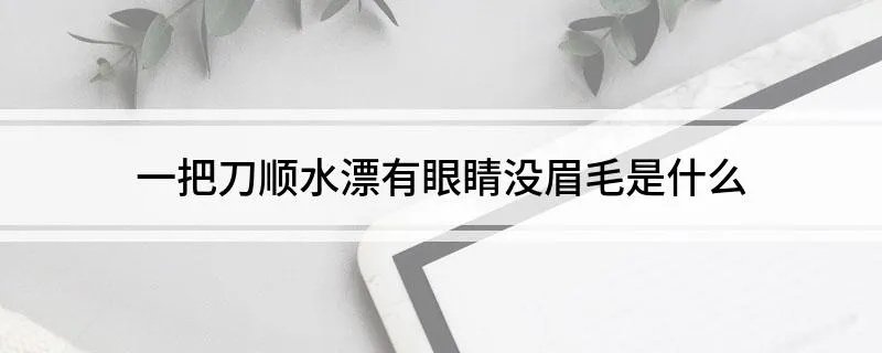 一把刀顺水漂有眼睛没眉毛是什么