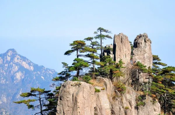 黄山奇石有哪些？