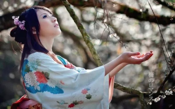 第一刺客女婿赵君度林轻容 第一刺客女婿全文阅读