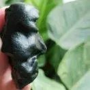 石友们，把你们的新疆和田玉、籽料原石和天然奇石发个图出来让石友们看看学习下？