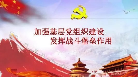 党支部基层工作条例作用