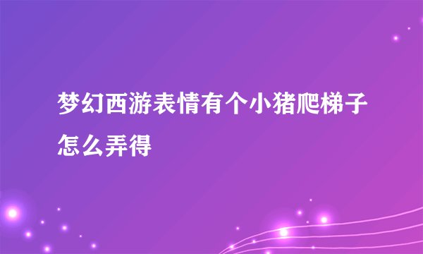 梦幻西游表情有个小猪爬梯子怎么弄得