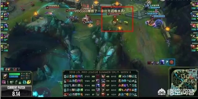 《英雄联盟》VG对阵RNG，VG大优势领先竟打了50分钟，对此你怎么看？