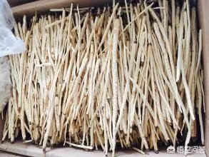 北沙参有几种吃法？