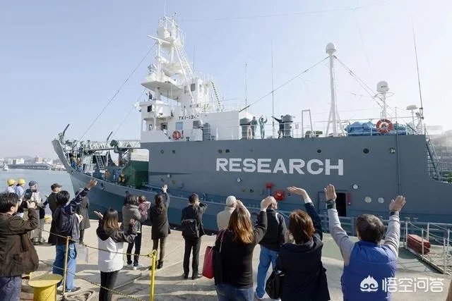 日本退出《全球禁止捕鲸公约》是出于政治目的还只是经济目的？