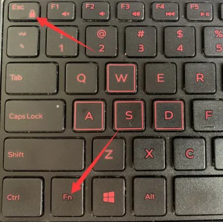 Fn快捷键不能用