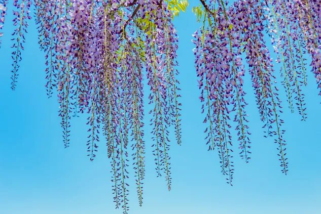 中国一年多少休息日 全年休息日共是多少天