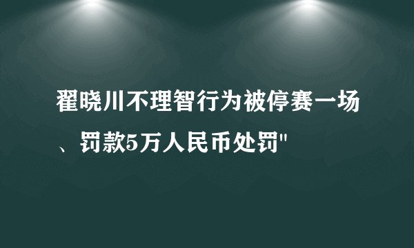 翟晓川不理智行为被停赛一场、罚款5万人民币处罚
