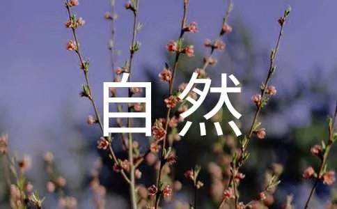 大自然的作文