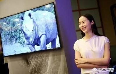 如何看待江一燕事件？