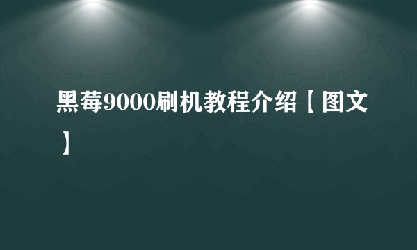 黑莓9000刷机教程介绍【图文】