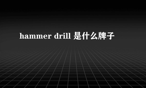 hammer drill 是什么牌子