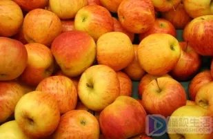 嘎啦果和苹果有什么区别