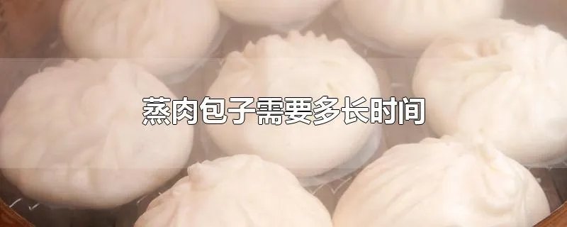 蒸肉包子需要多长时间