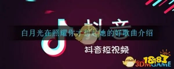 白月光在照耀你才想起她的好是什么歌