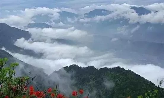 五一去崇义旅游,去玩过的驴友可以说下攻略吗?