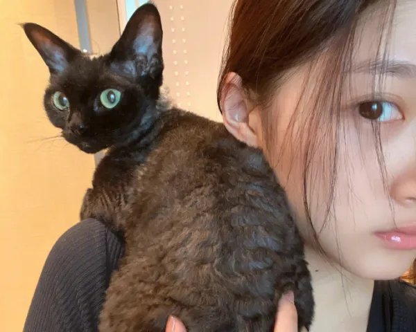 关晓彤微博晒抱猫咪合影自拍，你是否觉得她已经从国民女儿的定位中走出？