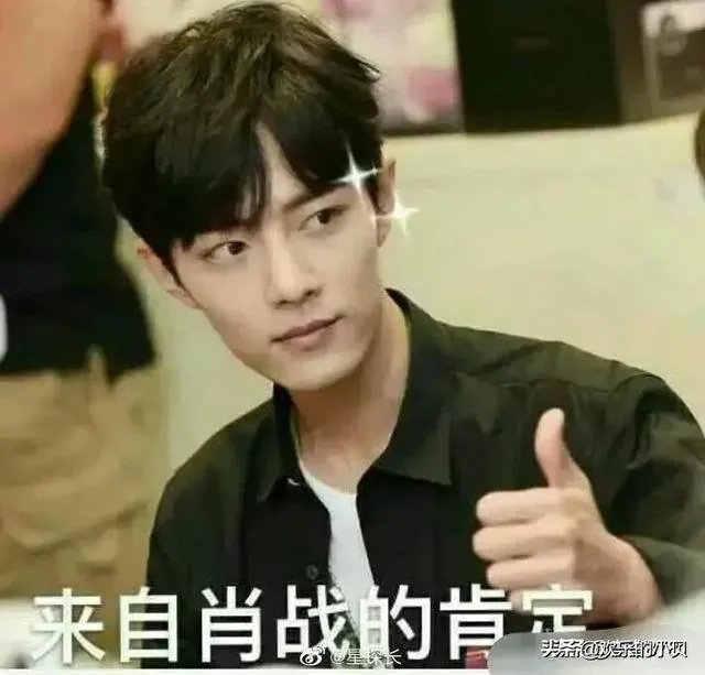 您对肖战设计疑似侵权怎么看？