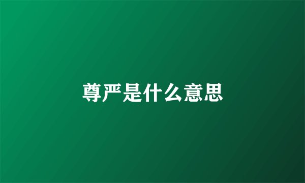 尊严是什么意思